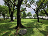 jurong-hill-park-23