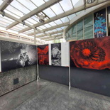 world-press-photos-2022-08