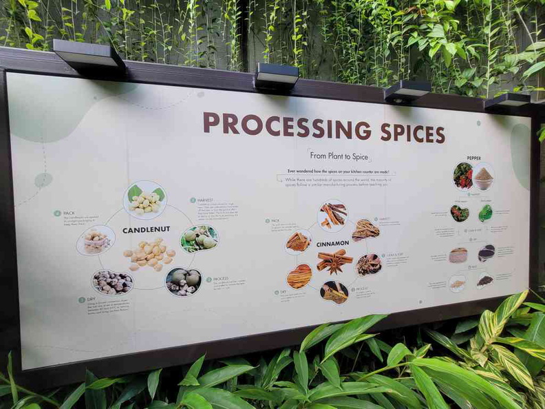 fort-canning-spice-gallery-09.jpg
