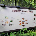 fort-canning-spice-gallery-09