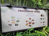 fort-canning-spice-gallery-09