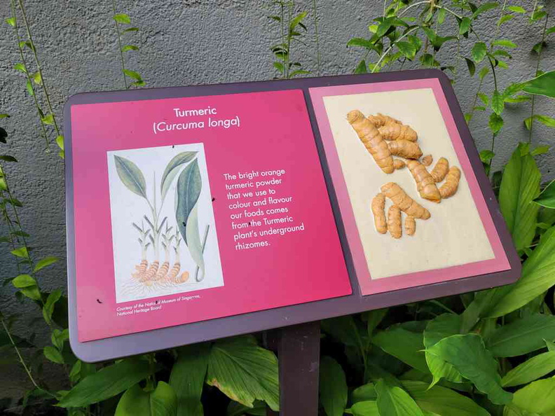 fort-canning-spice-gallery-08