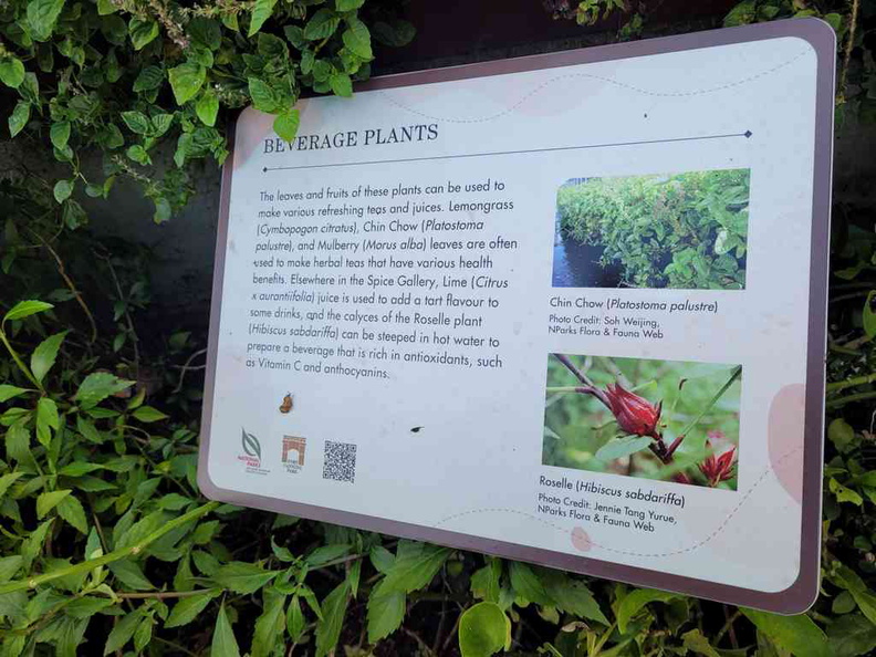 fort-canning-spice-gallery-03.jpg
