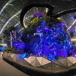 avatar-cloud-forest-pano
