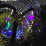 avatar-experience-cloud-forest-52