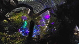 avatar-experience-cloud-forest-52