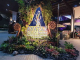 Avatar Experience Cloud Forest