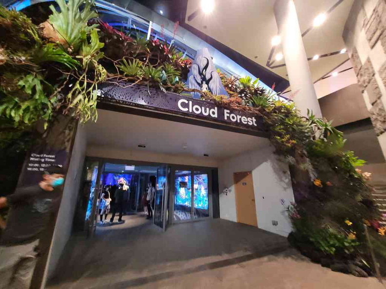 avatar-experience-cloud-forest-02