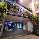 avatar-experience-cloud-forest-02