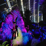 avatar-experience-cloud-forest-05