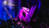 avatar-experience-cloud-forest-07