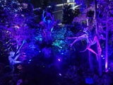 avatar-experience-cloud-forest-08