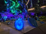 avatar-experience-cloud-forest-15