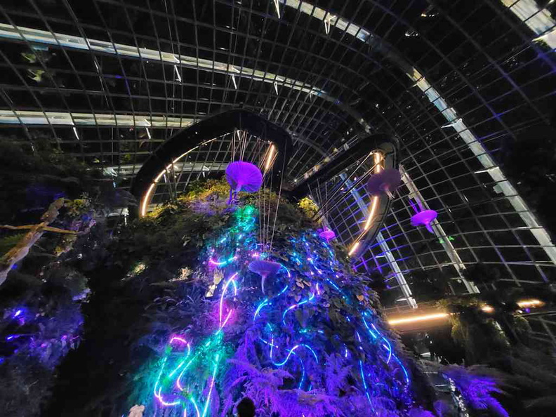 avatar-experience-cloud-forest-16.jpg