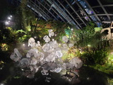 avatar-experience-cloud-forest-18