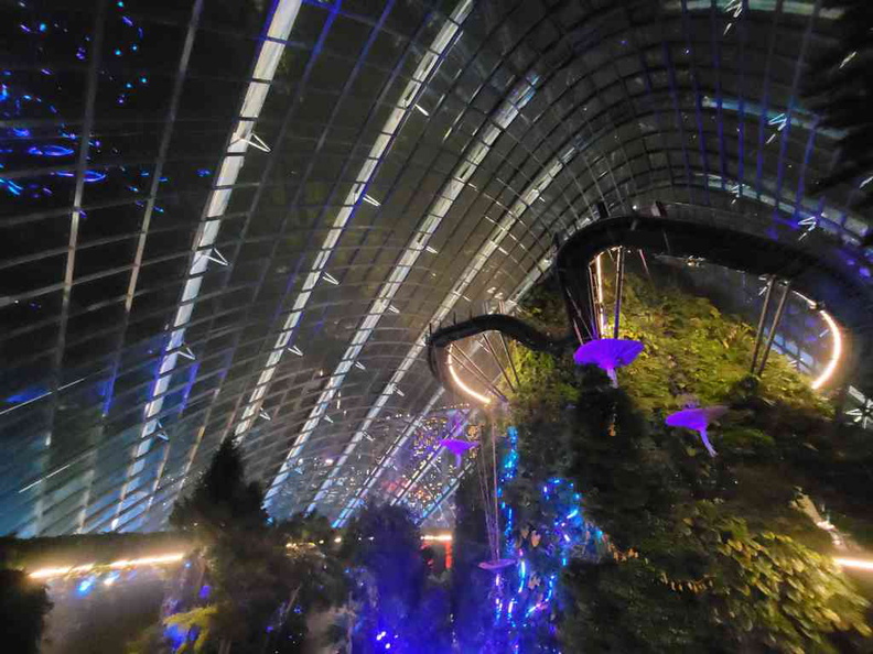 avatar-experience-cloud-forest-34