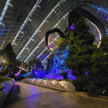 avatar-experience-cloud-forest-40