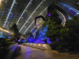 avatar-experience-cloud-forest-40