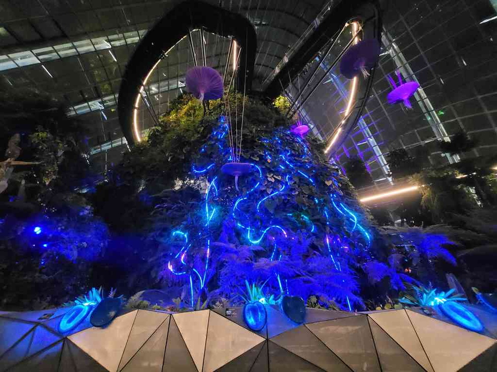 avatar-experience-cloud-forest-41