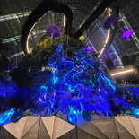 avatar-experience-cloud-forest-41