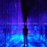 avatar-experience-cloud-forest-46