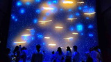 avatar-experience-cloud-forest-47