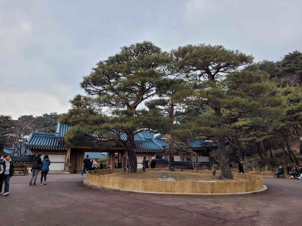 gyeongbokgung-blue-house-16