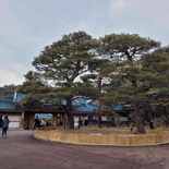 gyeongbokgung-blue-house-16