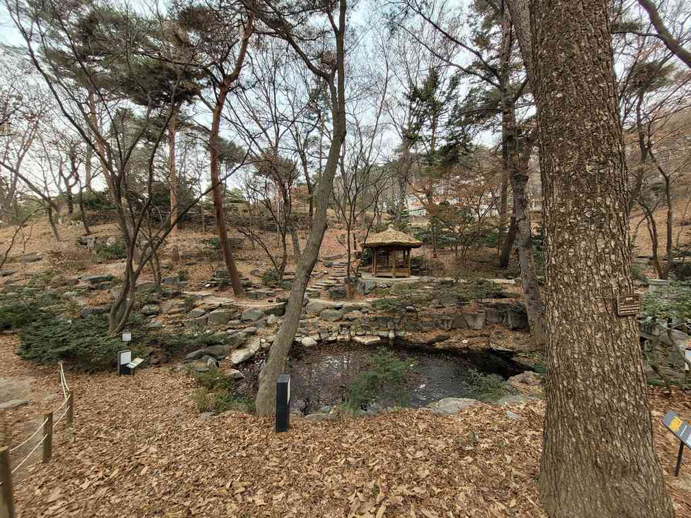 gyeongbokgung-blue-house-21