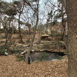 gyeongbokgung-blue-house-21