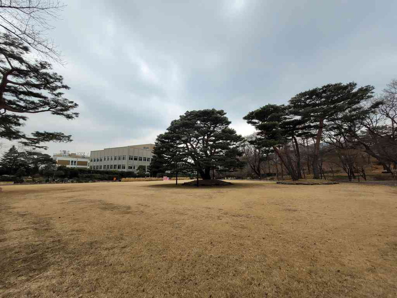 gyeongbokgung-blue-house-23