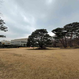 gyeongbokgung-blue-house-23