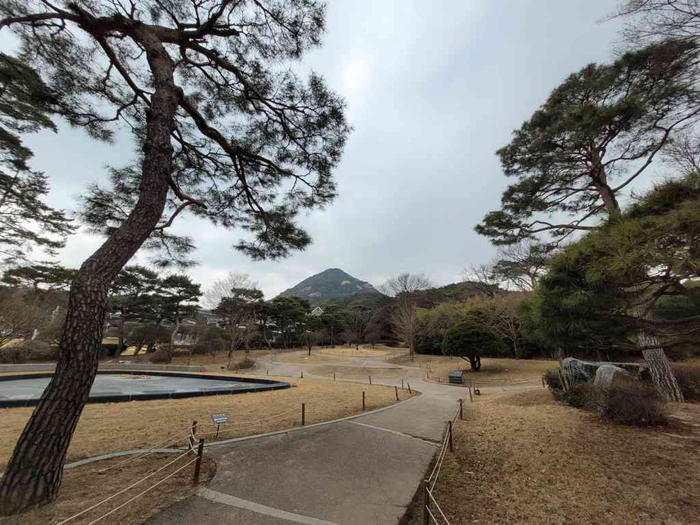 gyeongbokgung-blue-house-08