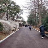 gyeongbokgung-blue-house-11