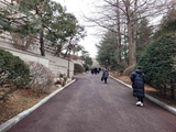 gyeongbokgung-blue-house-11