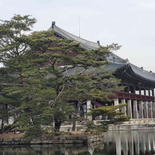 gyeongbokgung-palace-seoul-29