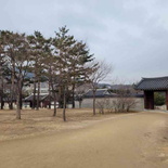 gyeongbokgung-palace-seoul-33