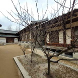 gyeongbokgung-palace-seoul-42