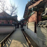 changdeokgung-palace-seoul-06