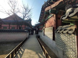 changdeokgung-palace-seoul-06