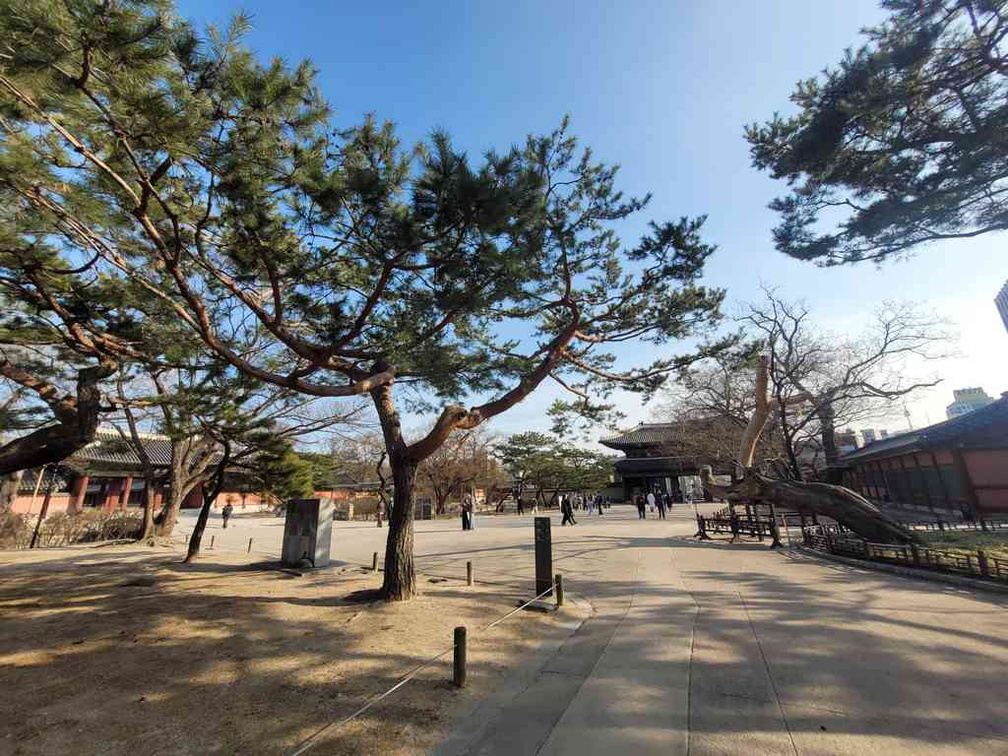 changdeokgung-palace-seoul-13