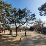 changdeokgung-palace-seoul-13