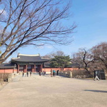 changdeokgung-palace-seoul-14
