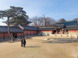 changdeokgung-palace-seoul-15