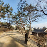 changdeokgung-palace-seoul-22