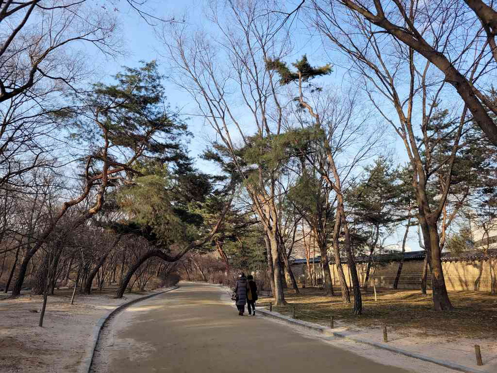 changdeokgung-palace-seoul-33