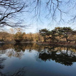 changdeokgung-palace-seoul-34