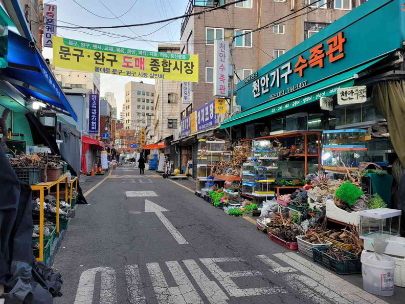 seoul-city-dongdaemun-toy-street-01.jpg