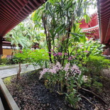 buddha-tooth-relic-temple-11