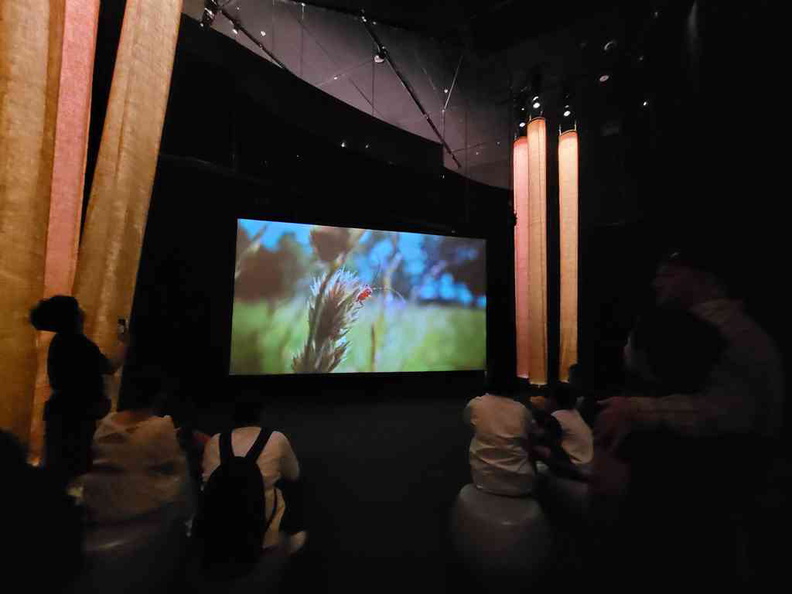 sensory-odyssey-art-science-museum-12